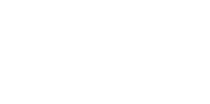 Hair To Wed Logo